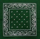 dark green paisley bandana