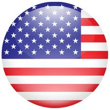 American flag button